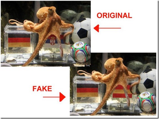Octopus Paul’s Predictions over Germany vs. Spain is Fake [Fake Picture]